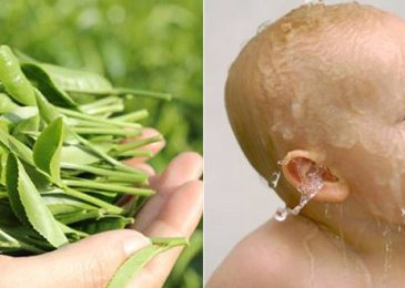 Gợi ý một số lá tắm chữa vàng da cho trẻ sơ sinh